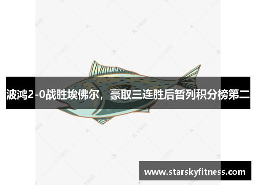 波鸿2-0战胜埃佛尔，豪取三连胜后暂列积分榜第二