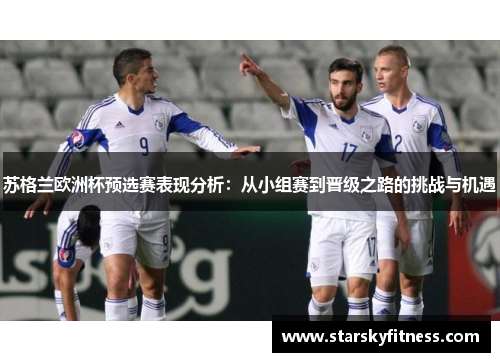 苏格兰欧洲杯预选赛表现分析：从小组赛到晋级之路的挑战与机遇